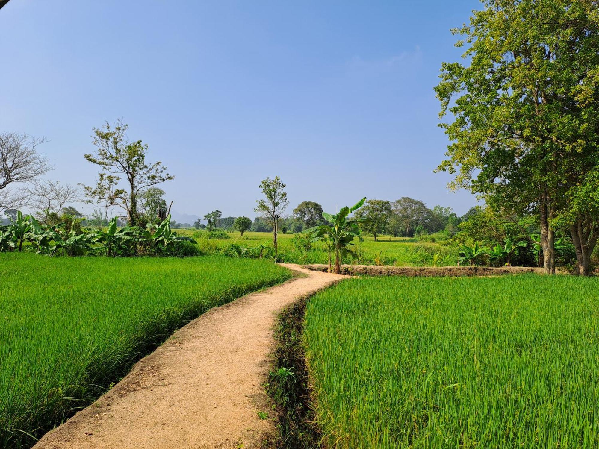 The Nature Park Villa Sigiriya Buitenkant foto