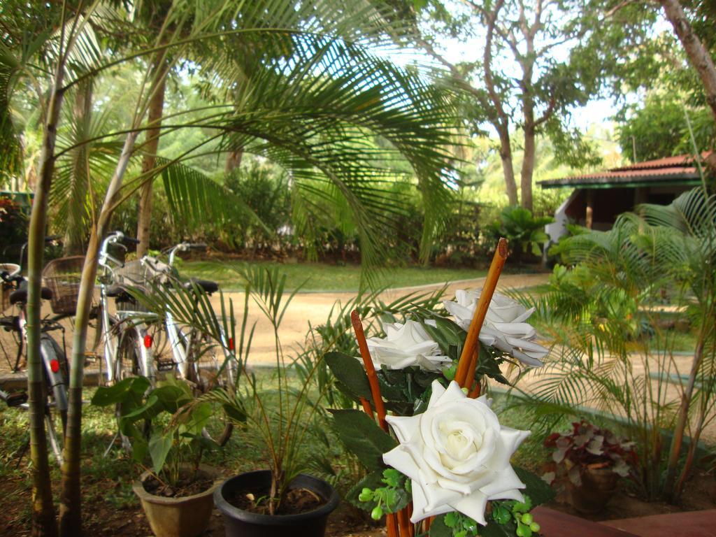 The Nature Park Villa Sigiriya Buitenkant foto